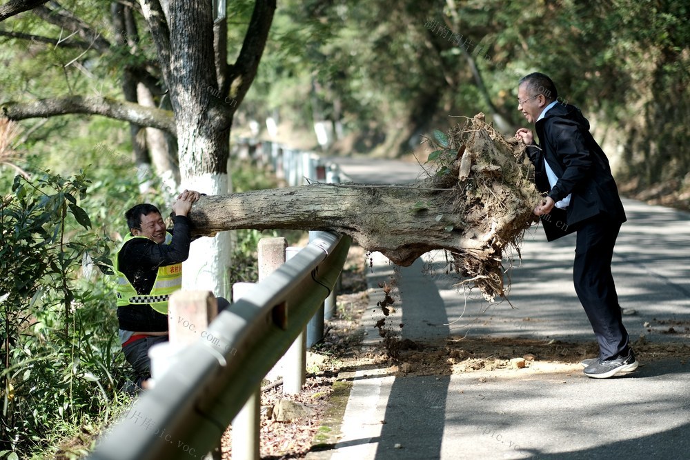 交通、出行安全、农村公路、清路障、志愿服务