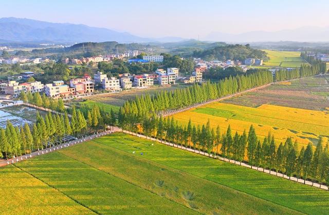 湖南  常宁  乡村  美景