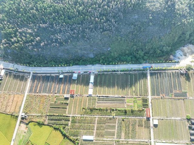 农业
田园
秋色
特色种植
