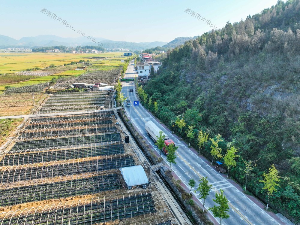 农业
田园
秋色
特色种植