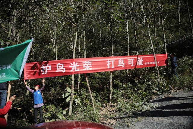 湖南桂东 “绿色卫士”  千年鸟道 候鸟 志愿者 巡山