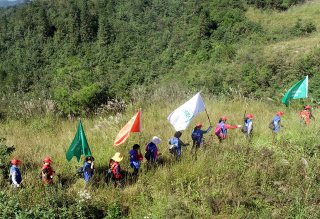 湖南桂东 “绿色卫士”  千年鸟道 候鸟 志愿者 巡山