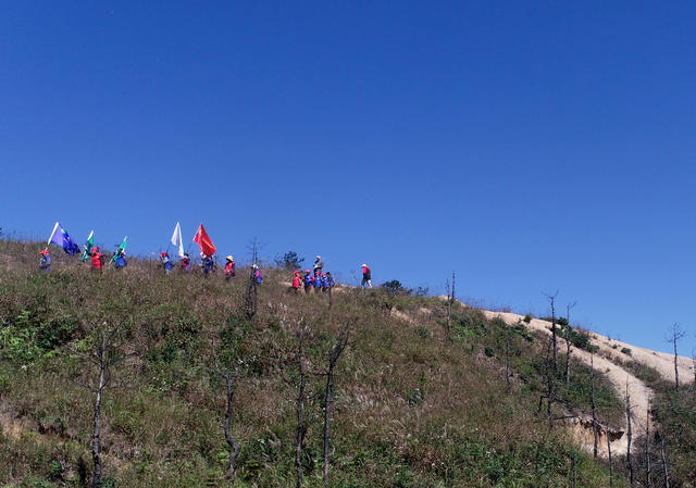 湖南桂东 “绿色卫士”  千年鸟道 候鸟 志愿者 巡山