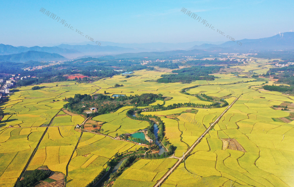 蓝山：多彩田园  美如画卷