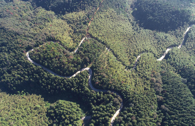 森林  林场  旅游  基础设施  交通  乡村振兴  乡村旅游  就业 生态环境