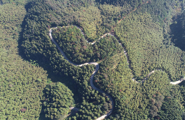 森林  林场  旅游  基础设施  交通  乡村振兴  乡村旅游  就业 生态环境