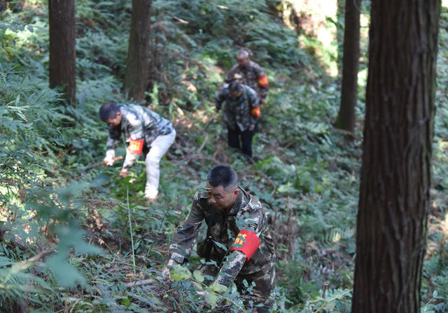 森林防火  高温  林场  林长制  预防  巡查