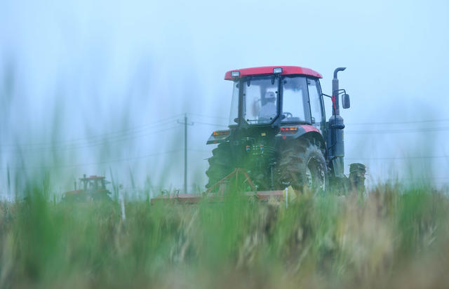 秋冬生产
农业
秋种
蔬菜
