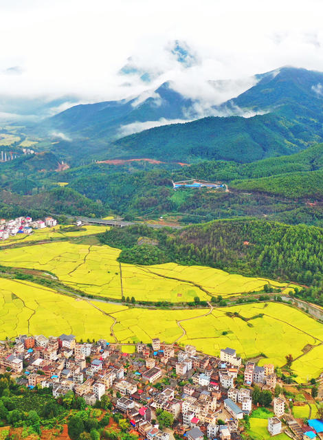 蓝山：金秋乡村入画来