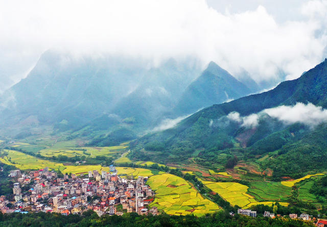 蓝山：金秋乡村入画来