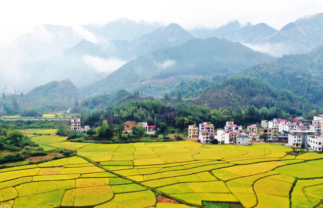 蓝山：金秋乡村入画来