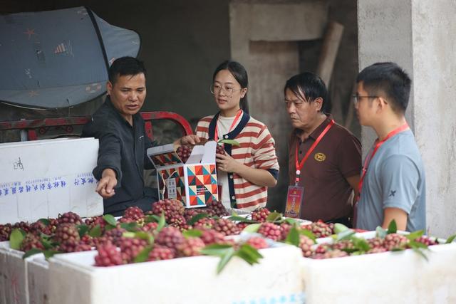 从严治党、纪检、听民声、服务群众、走访调研