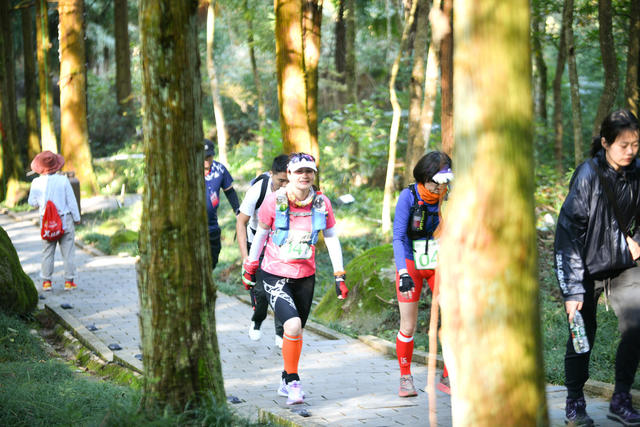 浏阳市 大围山国家级森林公园 徒步