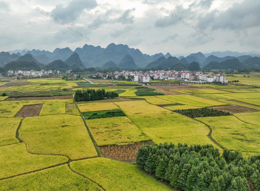 景区
农业
综合体
农旅
