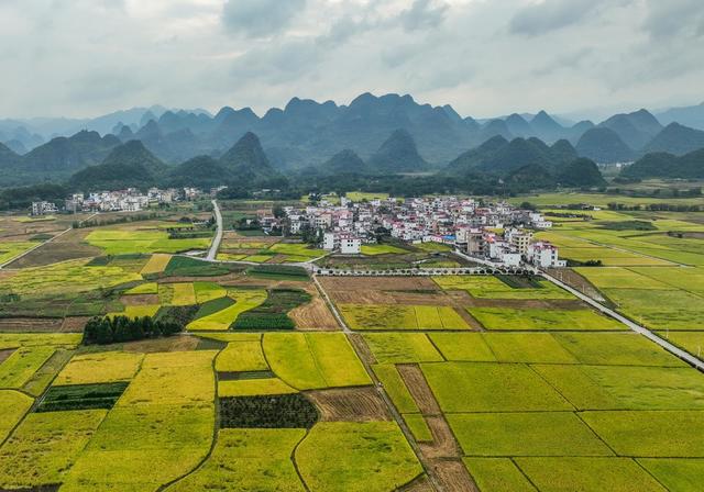 景区
农业
综合体
农旅
