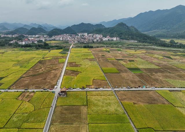 景区
农业
综合体
农旅
