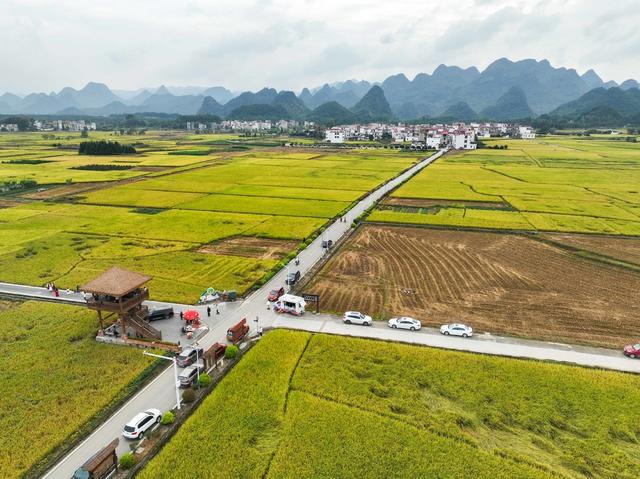 景区
农业
综合体
农旅
