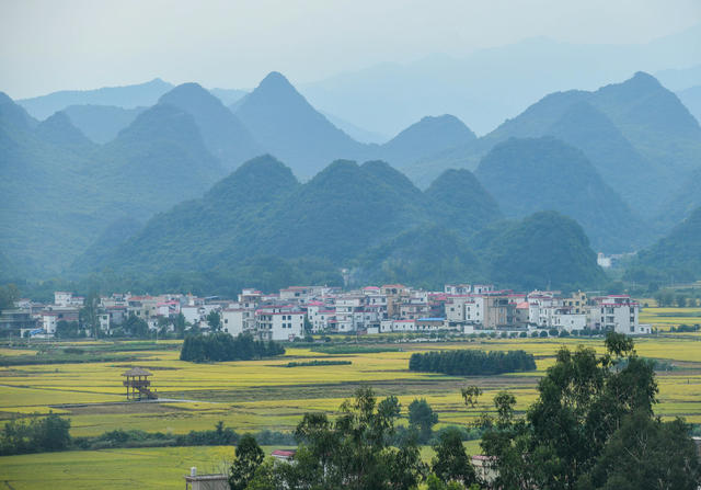 景区
农业
综合体
农旅
