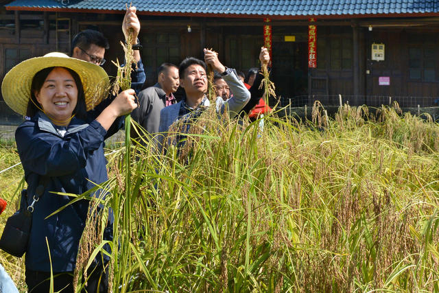 香米验收获好评