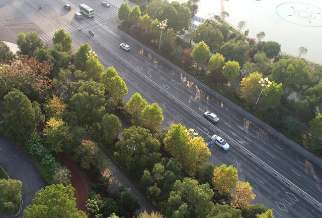 金秋时节  秋季  秋景  人居环境  城市景色  街道 