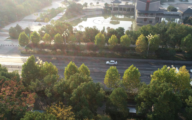 金秋时节  秋季  秋景  人居环境  城市景色  街道 