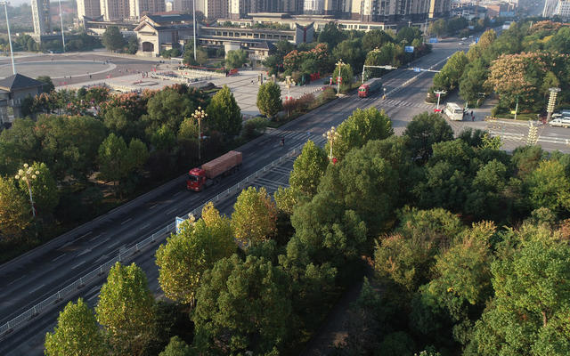 金秋时节  秋季  秋景  人居环境  城市景色  街道 