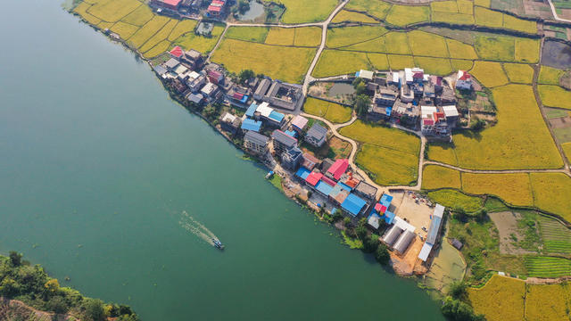 美丽乡村 美丽中国 晚稻 稻田 农村 丰收 金秋