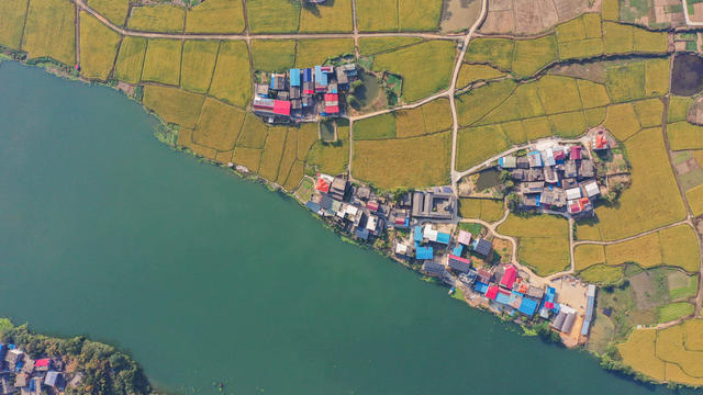 美丽乡村 美丽中国 晚稻 稻田 农村 丰收 金秋