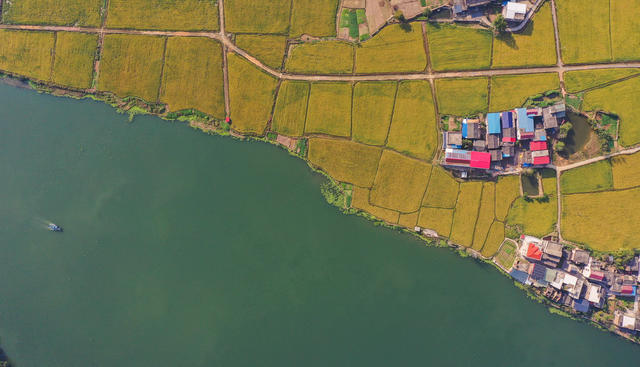 美丽乡村 美丽中国 晚稻 稻田 农村 丰收 金秋