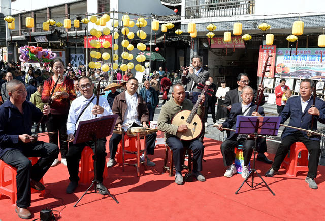 重阳节 老年人 文化 文艺 乐器 演奏  晚年生活