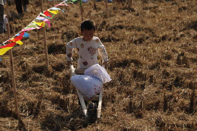 趣味农耕  农业生产  秋收