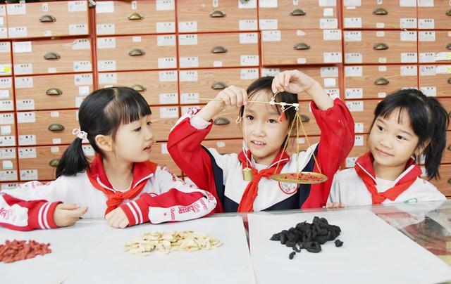 学习  中药   知识