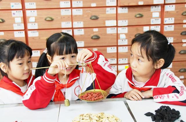 学习  中药   知识