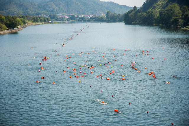 游泳  浏阳河  水  挑战
