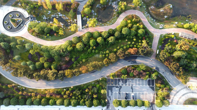 生态  主题  公园  风景  秋景 休闲  