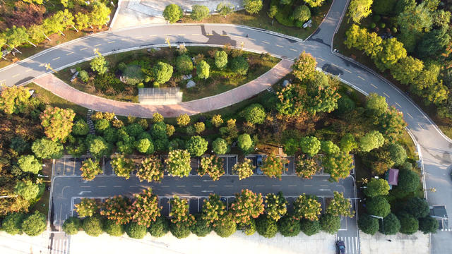 生态  主题  公园  风景  秋景 休闲  