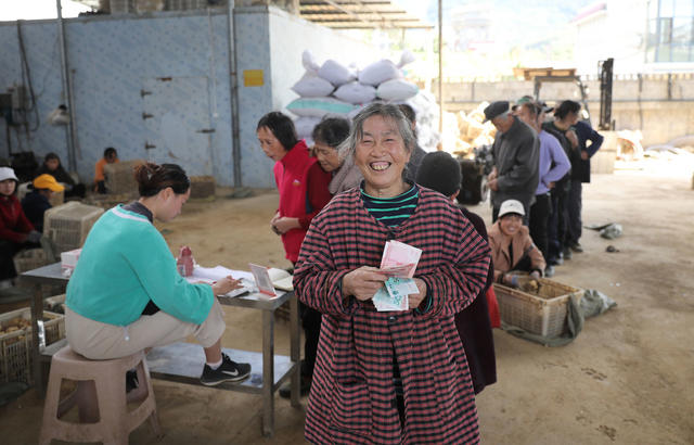 龙山  百合  家门口就业
