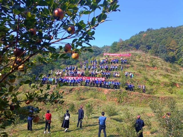 通道县 八路村 歌会