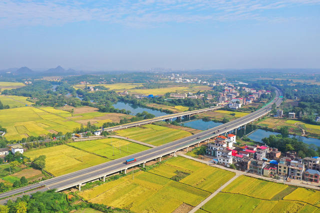 交通 道路 金秋