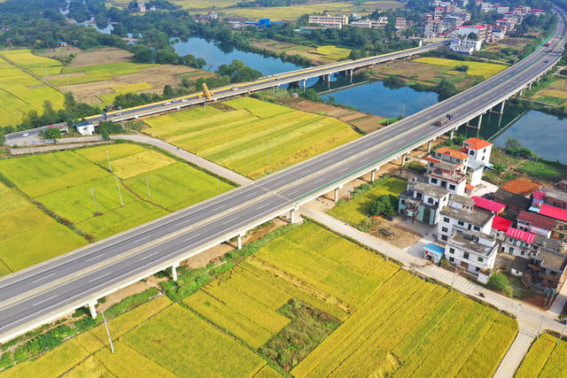 交通 道路 金秋