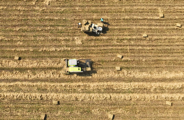 秸秆 回收 再利用 生态 保护 助农 增收