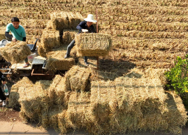 秸秆 回收 再利用 生态 保护 助农 增收