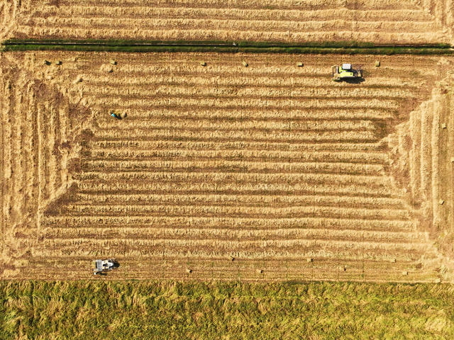 秸秆 回收 再利用 生态 保护 助农 增收