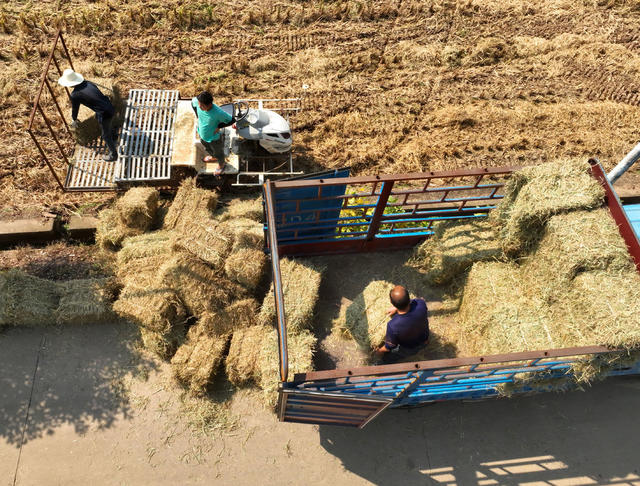 秸秆 回收 再利用 生态 保护 助农 增收