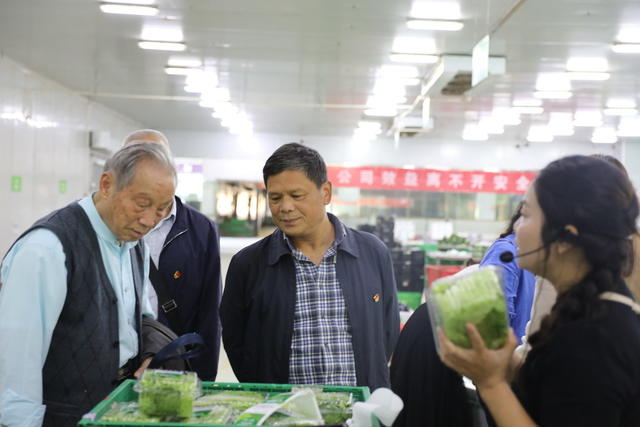 新田  东升农场  农旅融合