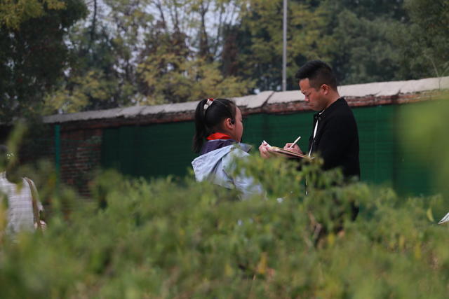 双减 桥头河 劳动课