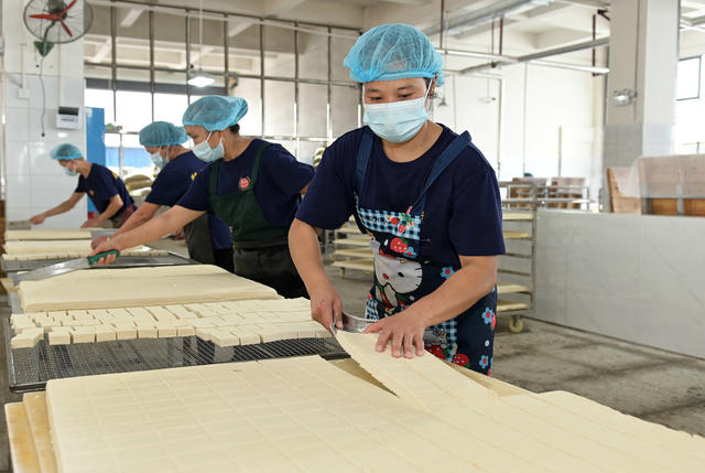 食品 传统工艺 手工业 豆腐  产业化 技术创新 产品升级 公司