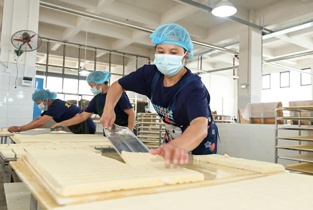 食品 传统工艺 手工业 豆腐  产业化 技术创新 产品升级 公司