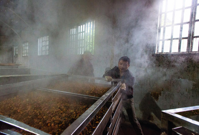 中药材  加工   武冈