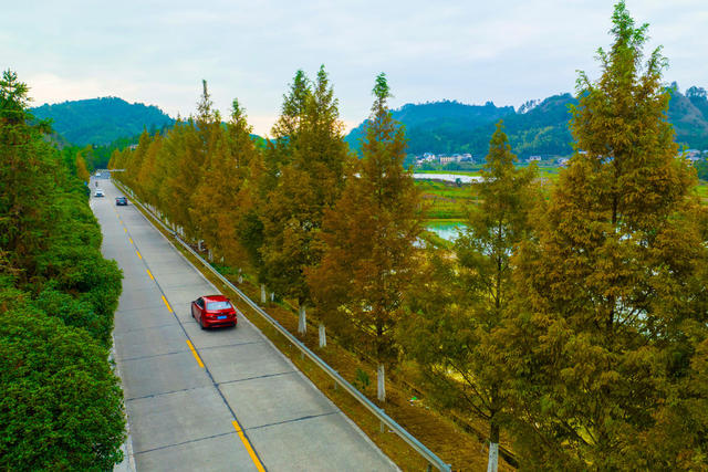 公路、交通、农村公路、风景、绿化